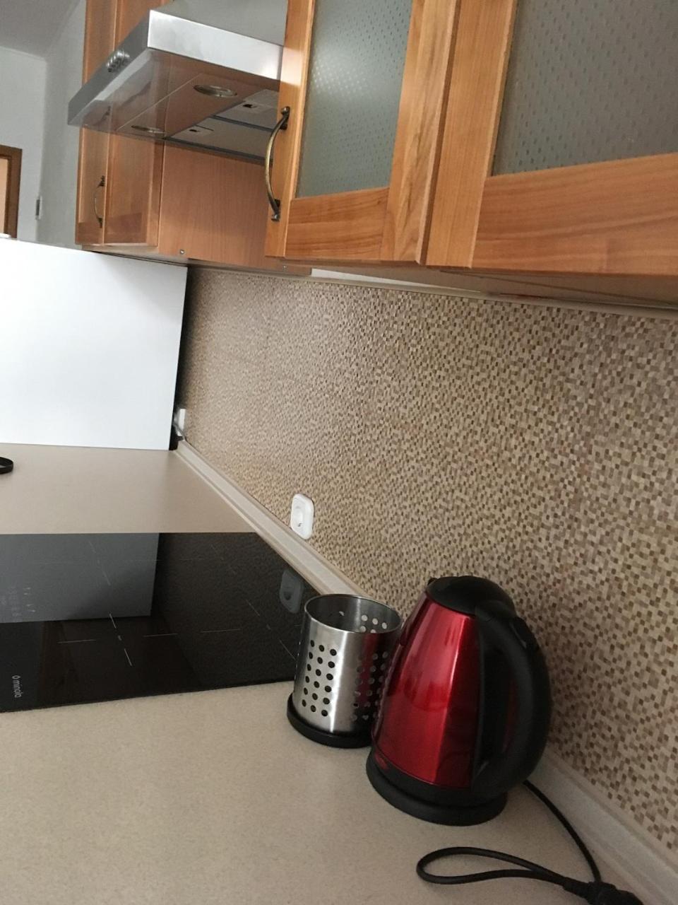 Apartaments In Karpaty Mizhhirya (Transcarpathia) Exterior foto