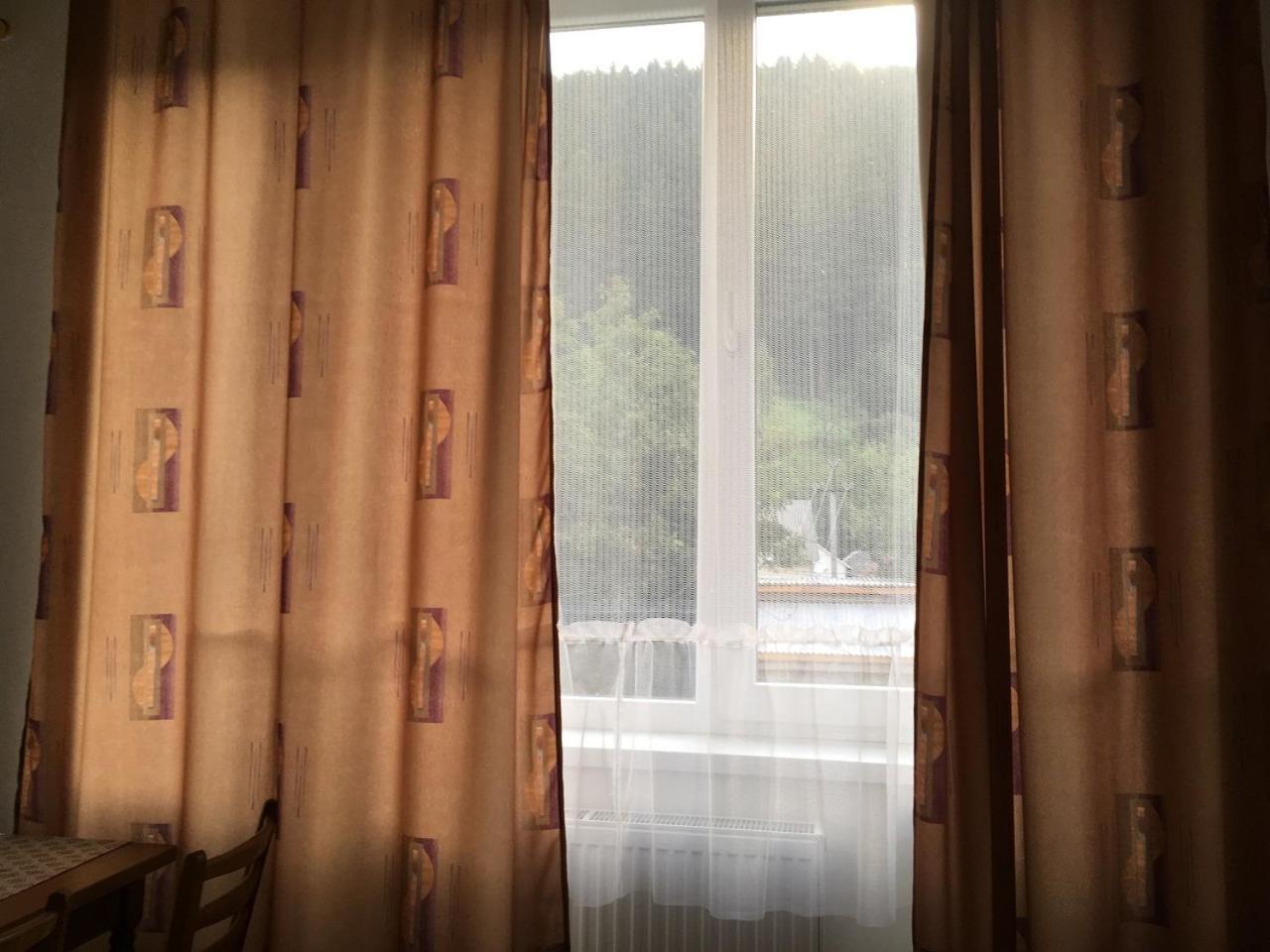 Apartaments In Karpaty Mizhhirya (Transcarpathia) Exterior foto